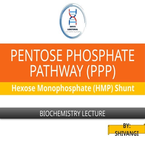Pentose_Phosphate_Pathway_Presentation.pptx