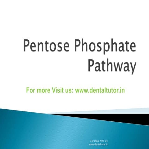 Pentose phosphate pathway 