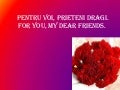 Pentru Voi, Prieteni Dragi