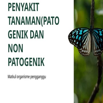 Comprehensive Overview of Plant Diseases: Pathogenic and Non-Pathogenic ...