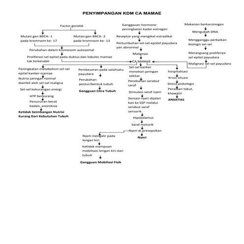 Penyimpangan kdm ca mamae | DOCX