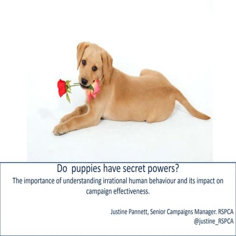 People power2012 justinepannett_puppypower