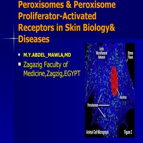 Peoxisomes  in skin health&disease  by  prof  m.y.abdel mawla