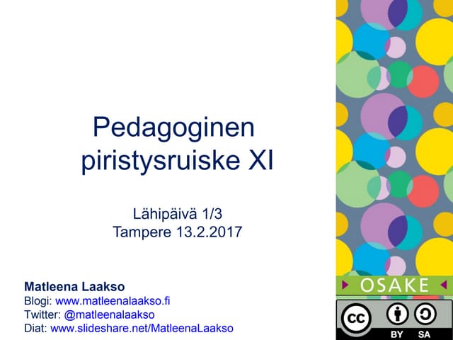 Pedagoginen piristysruiske 130217