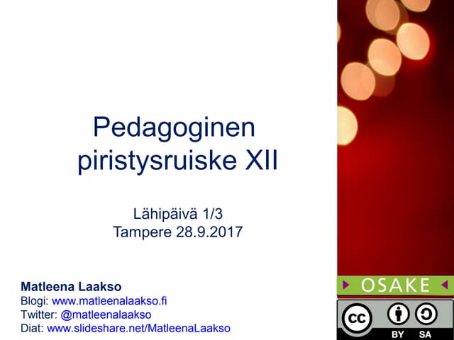 Pedagoginen piristysruiske 28.9.2017