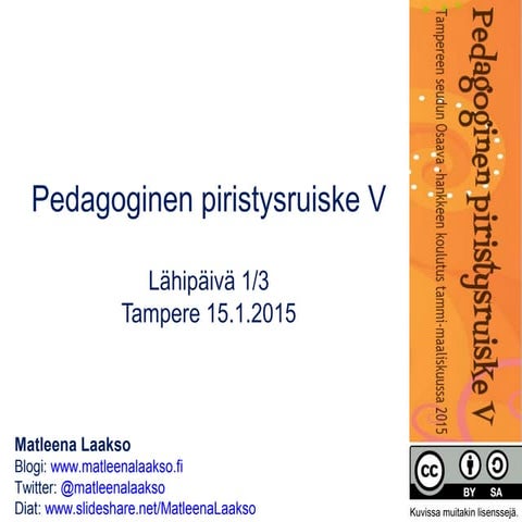 Pedagoginen piristys 15.1.15