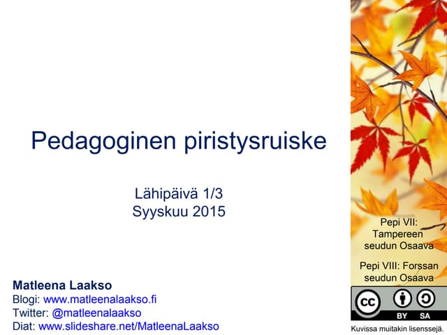 Pedagoginen piristysruiske, syyskuu 2015