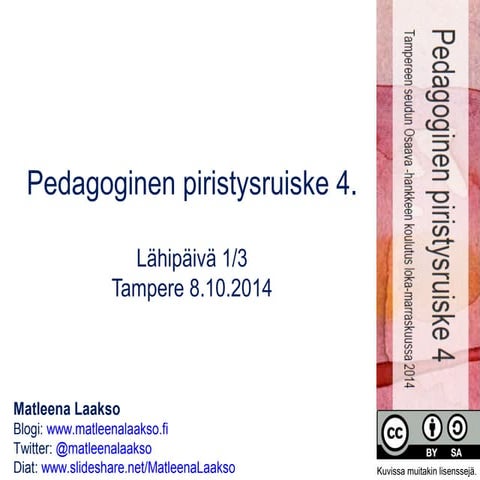 Pedagoginen piristusruiske 081014