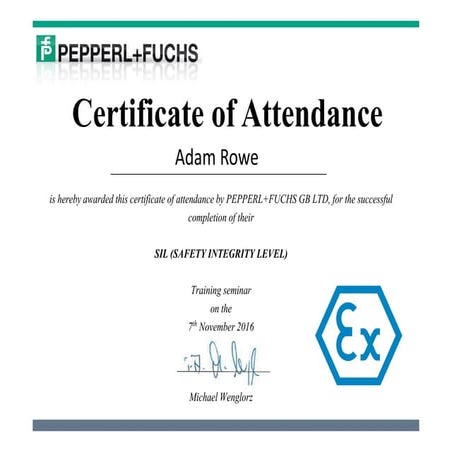 Pepperl & Fuchs SIL Training Certificate - T&D Adam Rowe