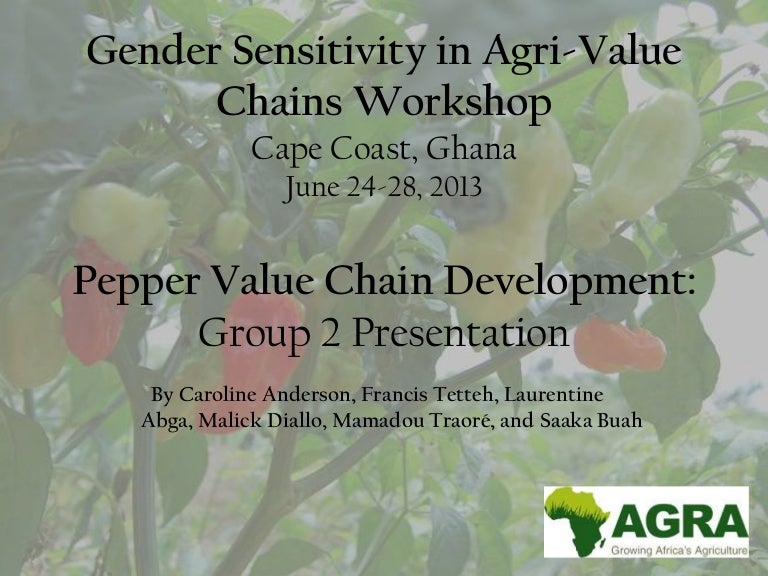 Pepper Value Chain Presentation