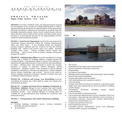 Pepsi Project Phasing