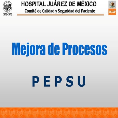 PEPSU PRESENTACION COMPLETA DEL TEMA.pptx