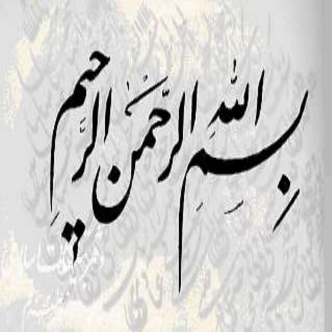 Peptide nucleic acid