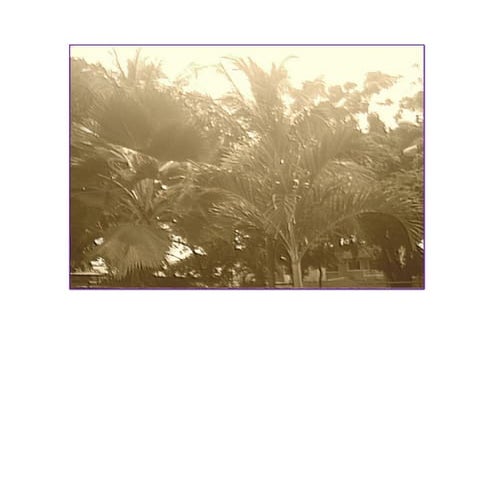 Pequeña exposicion colorista  muros texturas y arboles 