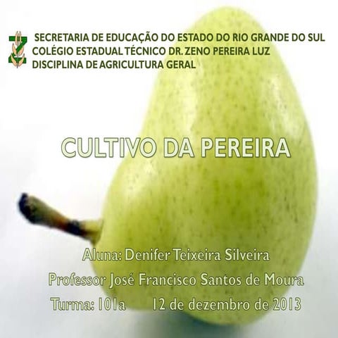 Tabela de calorias dos alimentos | PDF
