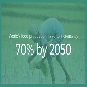 NDVI based credit scoring for farmer.pdf