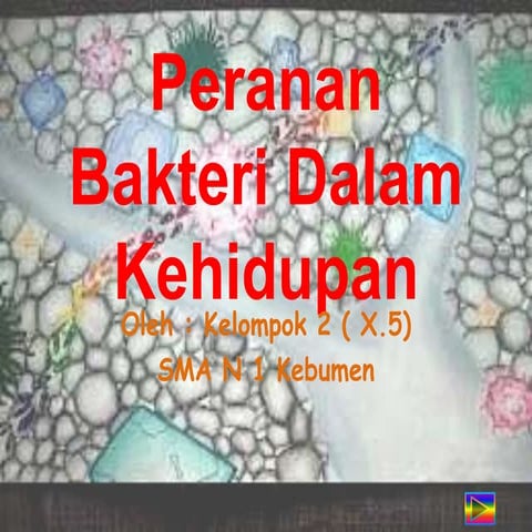 Peranan bakteri dalam kehidupan