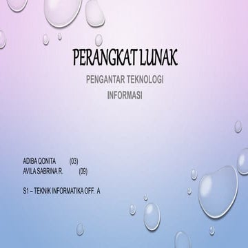 Perangkat lunak (software)