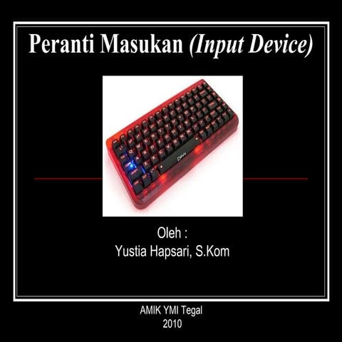 Peranti masukan (input device)