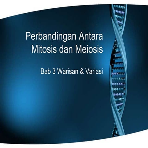 Perbandingan antara Mitosis dan Meiosis