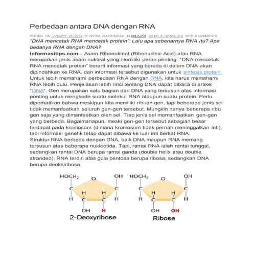 Perbedaan Dna Dan Rna 7 Pada Tabel Berikut Ini Yang Menunjukkan