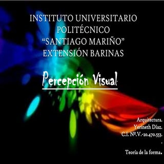 Percepción Visual