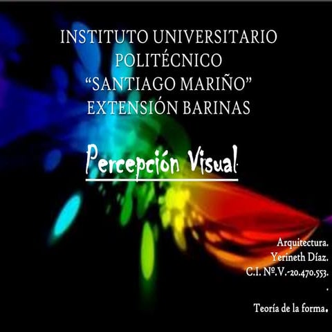 Percepción Visual