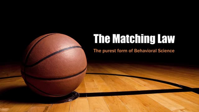 Perceived hotness and its effects on behavior in NBA