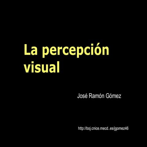 Percepción visual