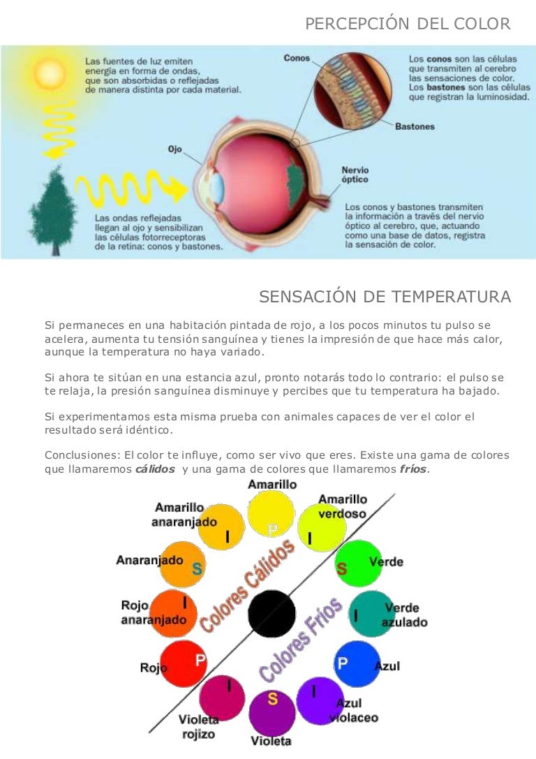 Percepción del color