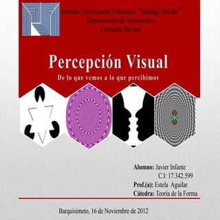 Percepción visual