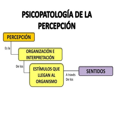 Senso percepcion | PDF