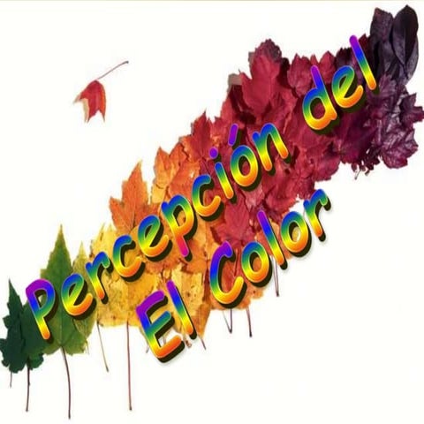 El proceso de la percepcion del color | PPTX