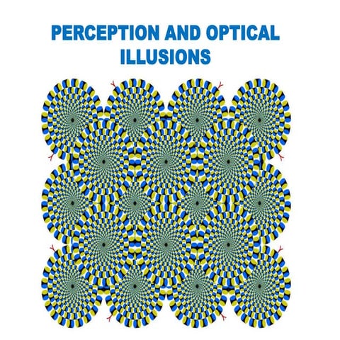 Perception and optical illusions