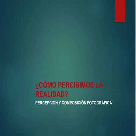 percepcion realidad.pptx