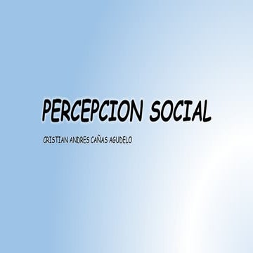 Percepcion social