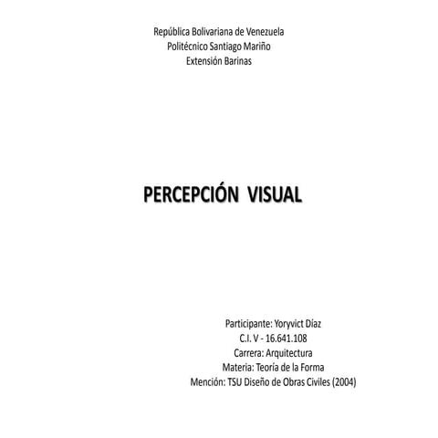 Percepcion visual
