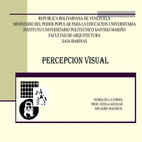 Percepcion visual