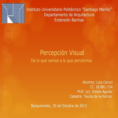 Percepcion visual