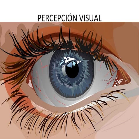 Percepción visual
