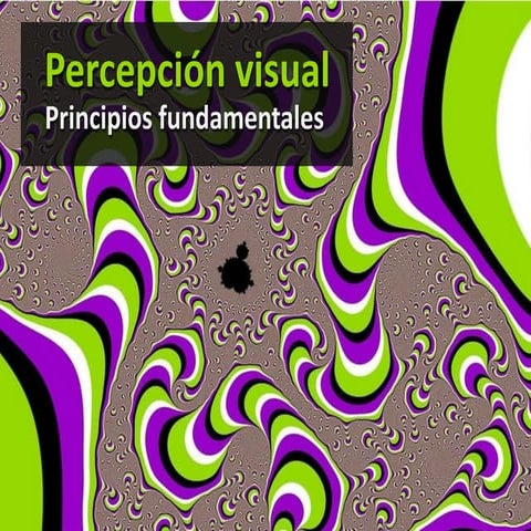 Percepcion visual - Principios fundamentales