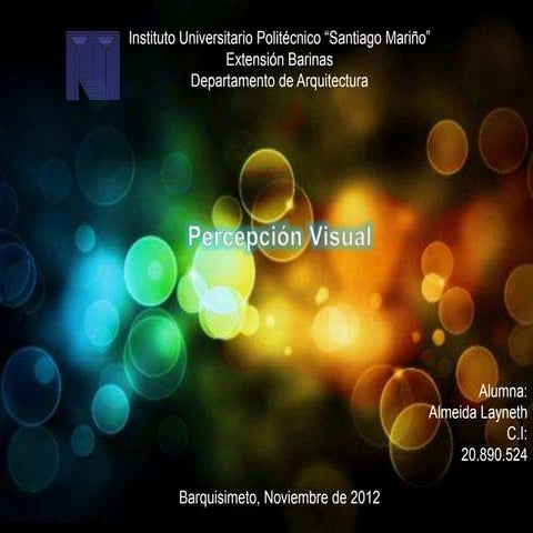 Percepcion visual layneth almeida