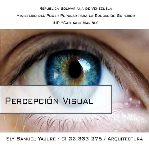 Percepcion visual