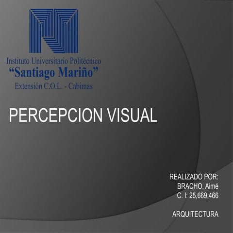 Percepcion visual