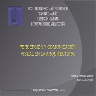 Percepcion y comunicacion visual en...