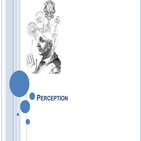 Perception