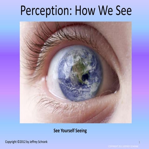 Perception: How We See