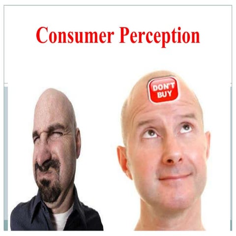 Consumer Perception