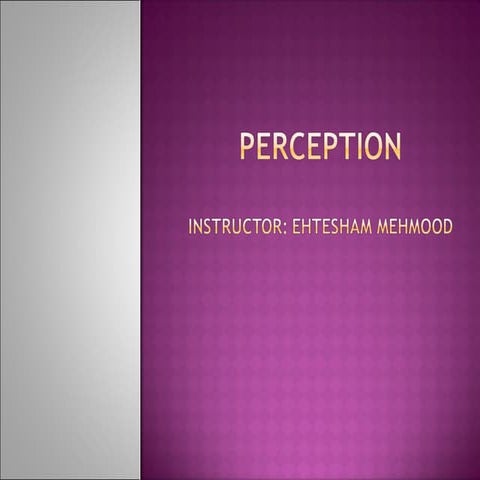 Perception in Psychology