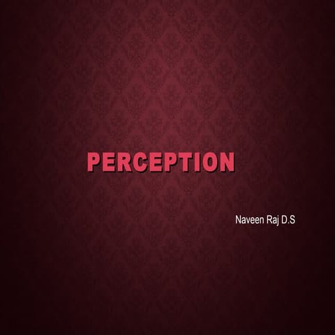 Perception